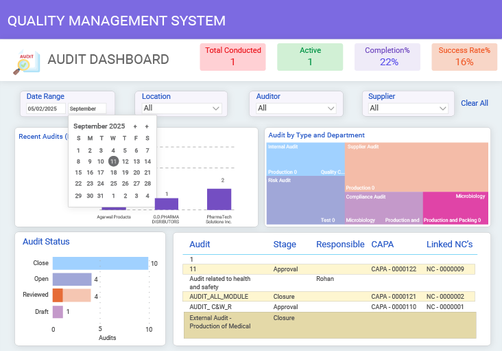 Detailed Audit Dashboard