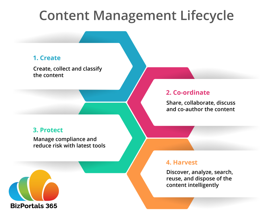 Content Management Lifecycle Phases